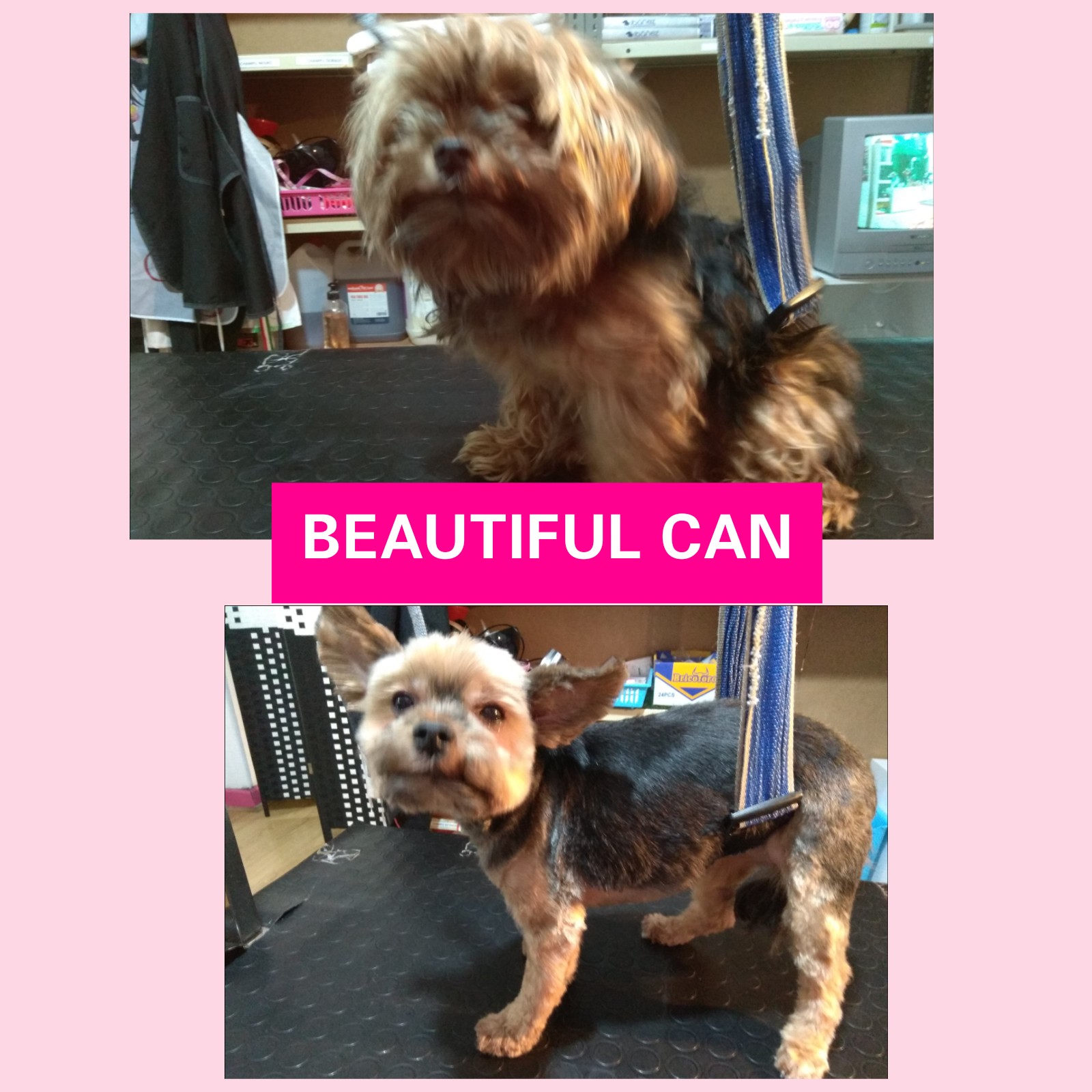 Nuestro pequeño nos encanta que te vayas sin nudos